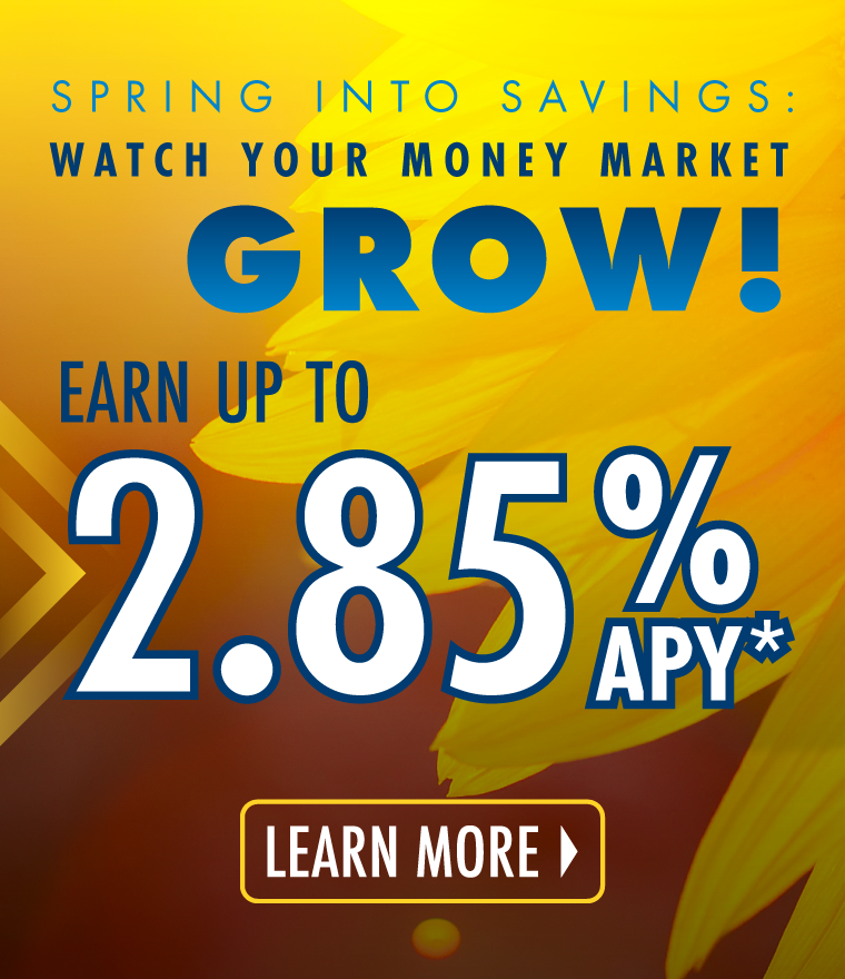 Money Market Special