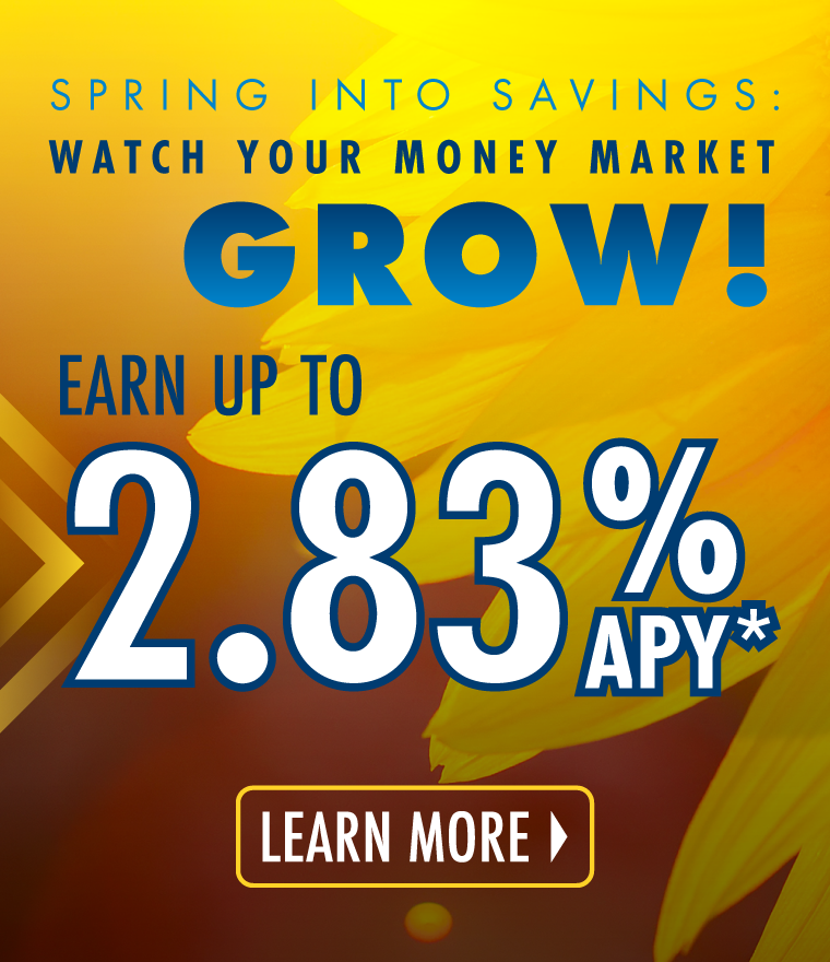 Money Market Special