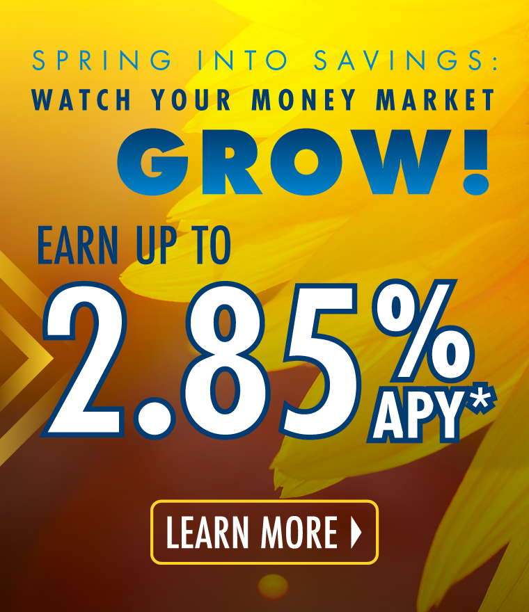 Money Market Special